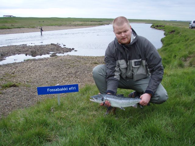 Árni Ingólfsson með fyrsta flugulaxinn úr Andakílsá 2009