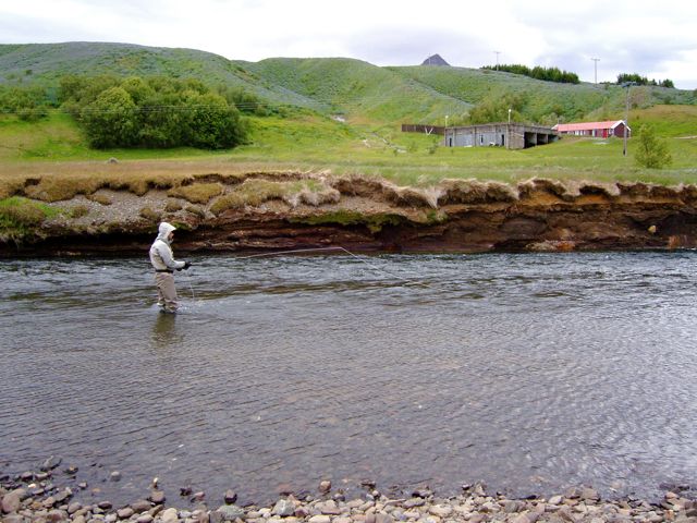 Þrjú var aflahæstur með 211 laxa veiði.