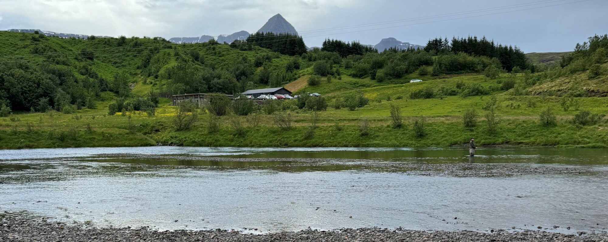 Stangaveiðifélag Akraness